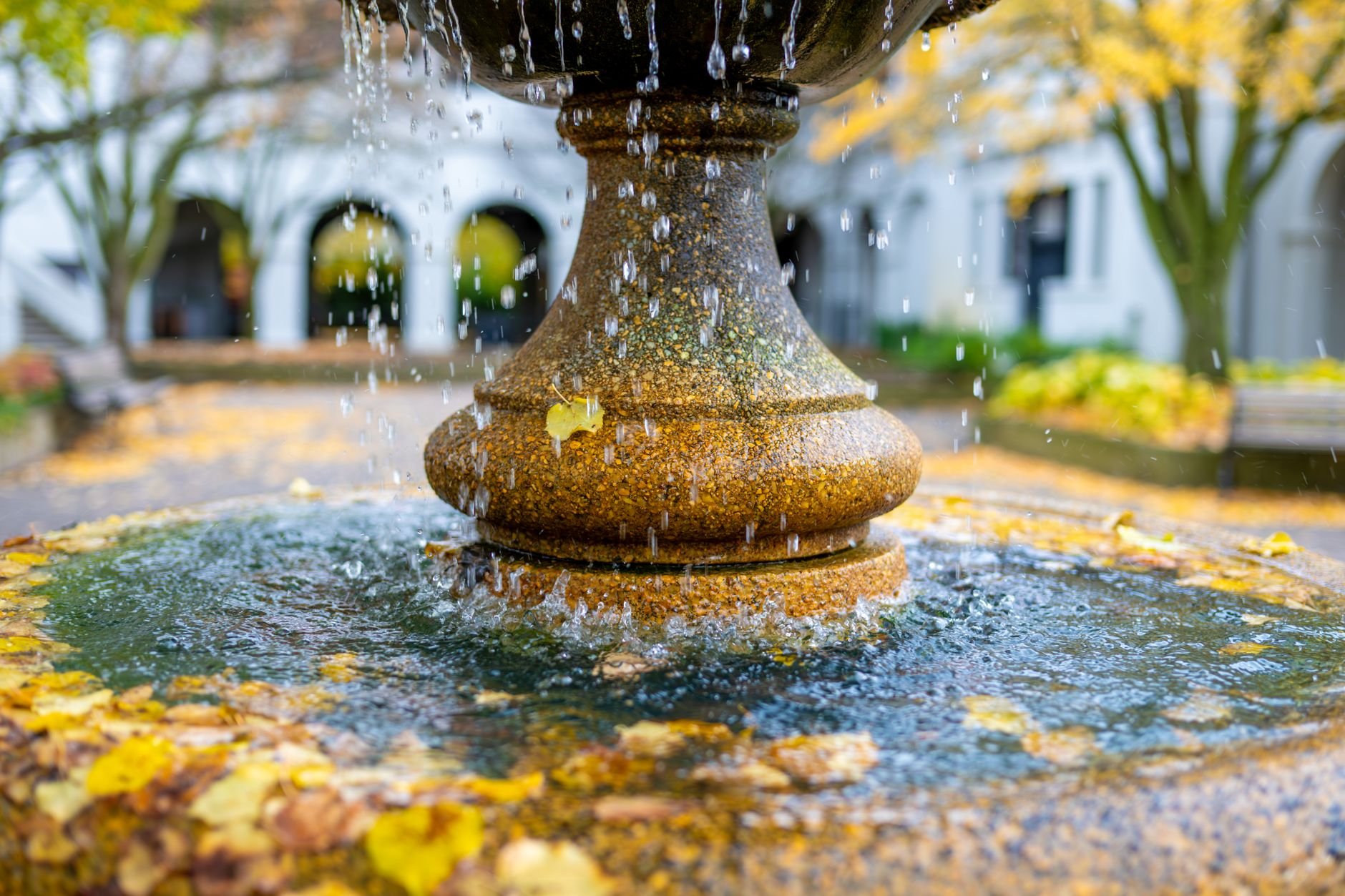 Clean stone basin with clear water reflecting sunlight in a residential courtyard